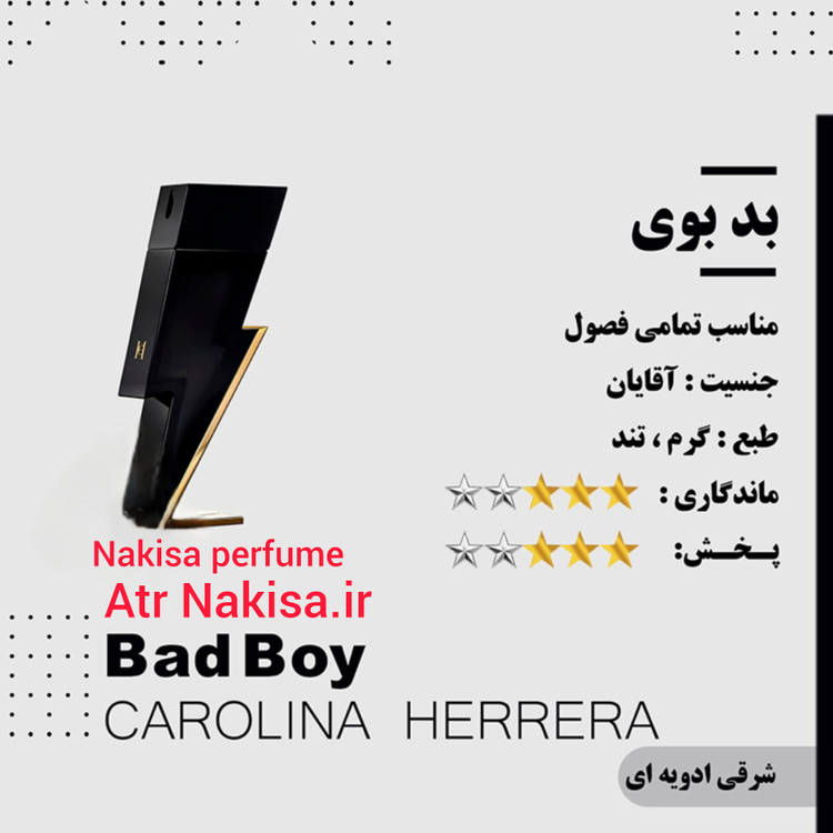 عطر مردانه پرفیوم بدبوی (10میل) فرانسه گرید Hi